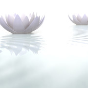 Health Conditions Treated by a Calgary Naturopathic Doctor