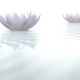 Health Conditions Treated by a Calgary Naturopathic Doctor