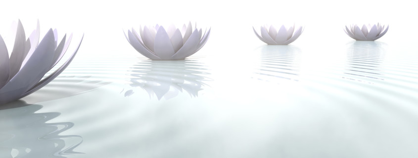 Health Conditions Treated by a Calgary Naturopathic Doctor